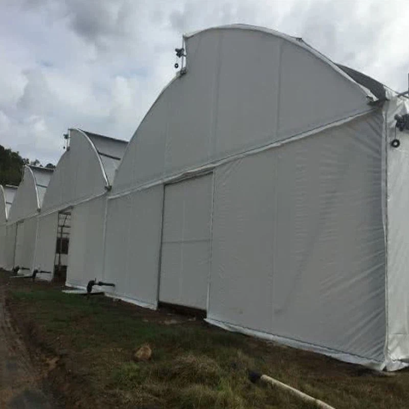 black white film greenhouse