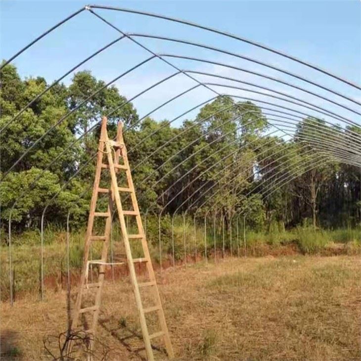 Mini Tunnel Greenhouse Price