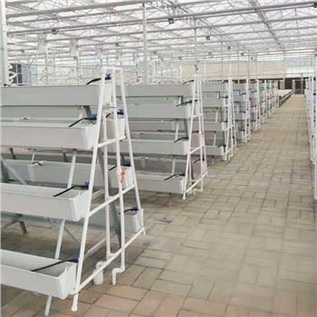 Gidroponika vertikal dehqonchilik