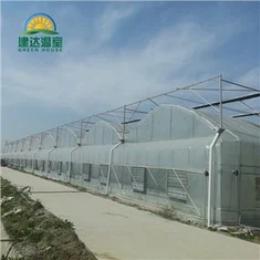 Gidroponik bilan sabzavotli salat issiqxonasi