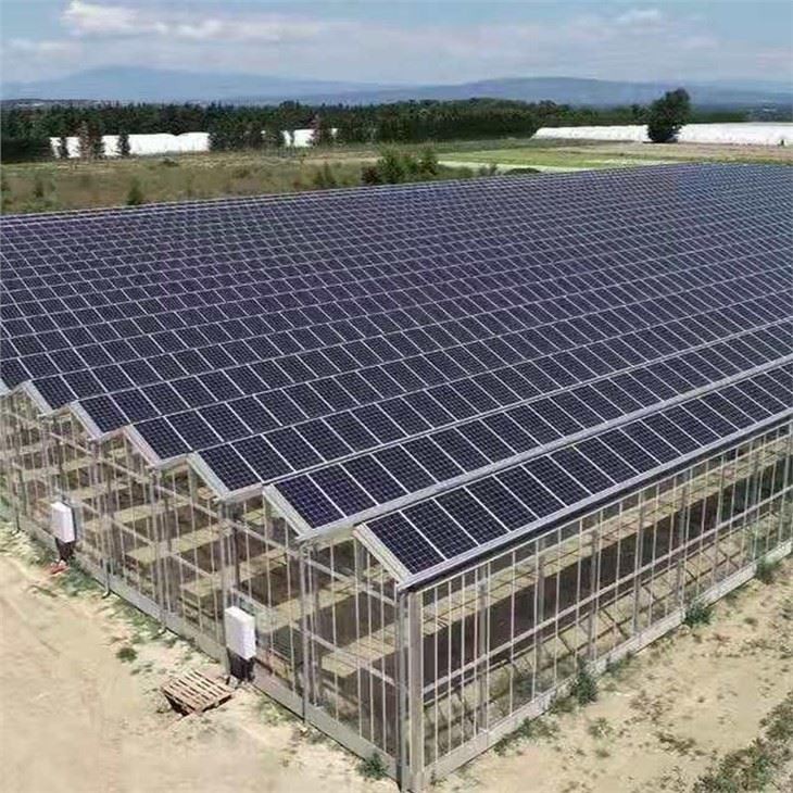 Solar Panel Greenhouse