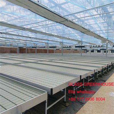 Turli issiqxonalar ob'ektlarini qo'llab-quvvatlash