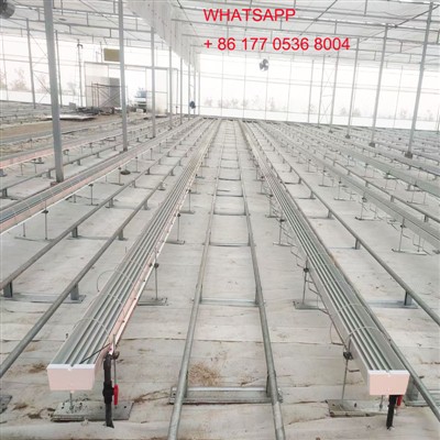 Armaniston uchun gotik plyonka